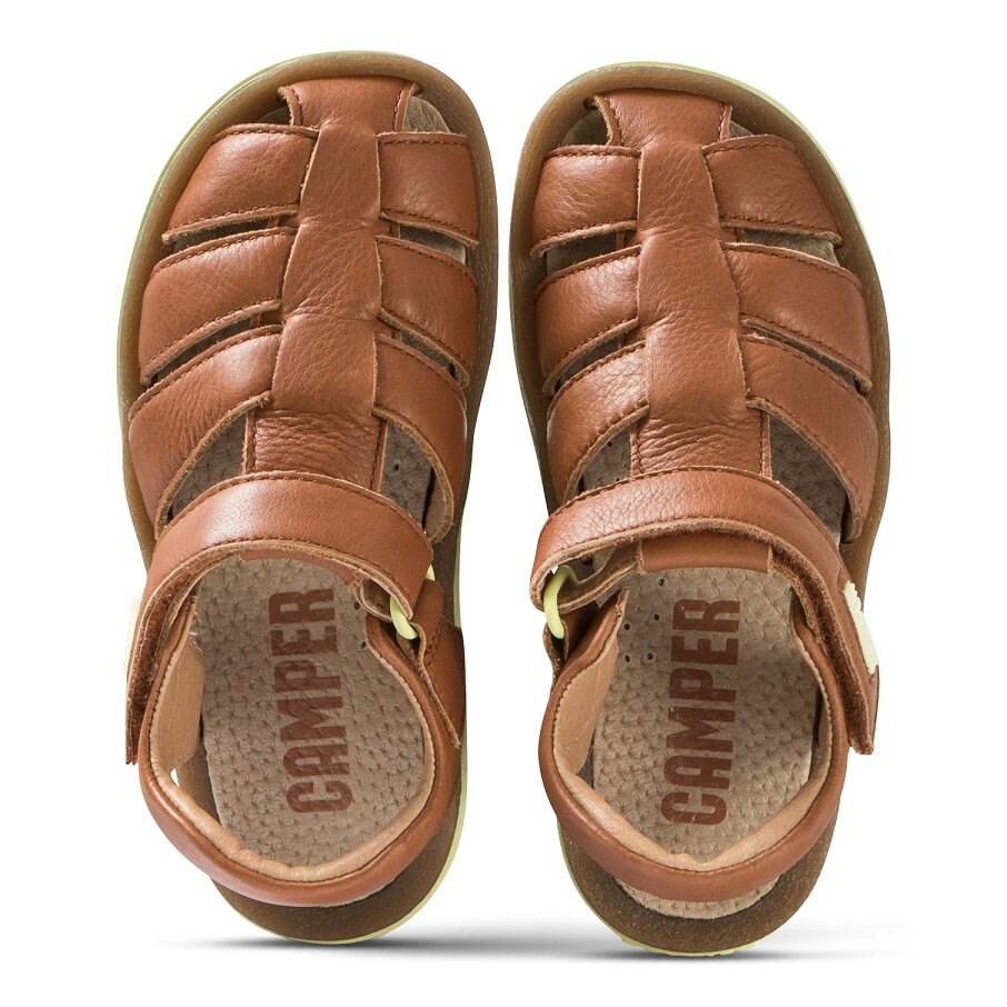 camper elastic shoe laces